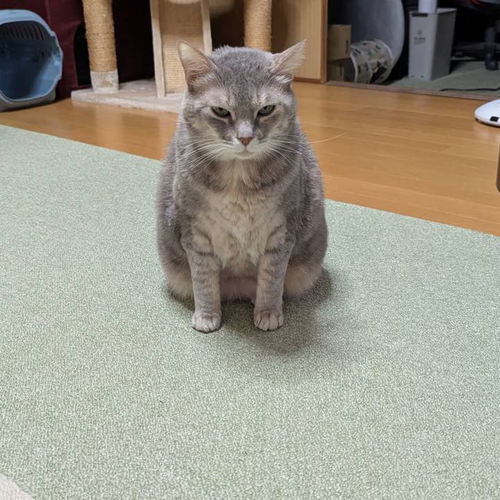 F78ecb63 7578 4cfd 9e3b 01cc44272985 1770260661849