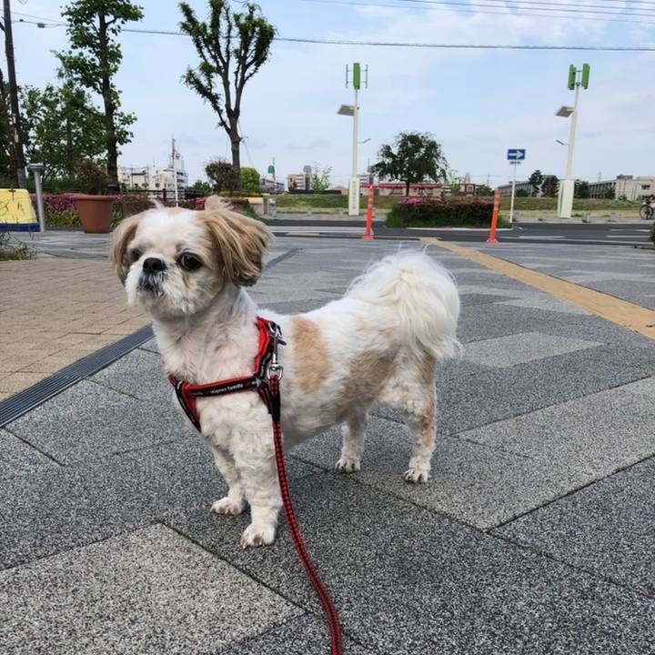 F78eeecd 4f80 444c a93c b93d91cc2634 1558734690430