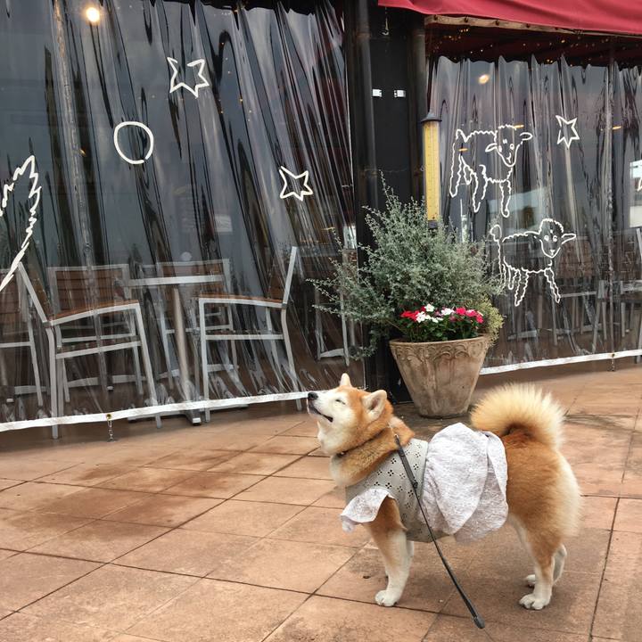 F78f01ec 182e 431d 8d38 995df1f72864 1559046947106