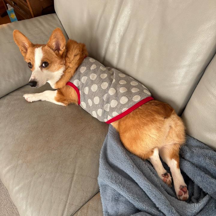 F78f33ac 6d9e 4d15 bb37 bce44fe871fc 1764914441650