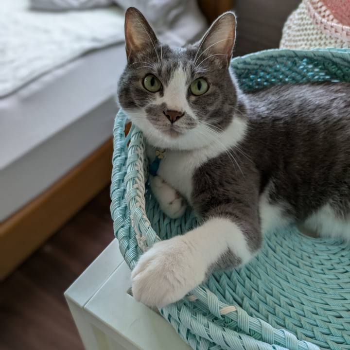 F78f3ac3 8260 46c4 92b6 c6f232a2a124 1728972591564