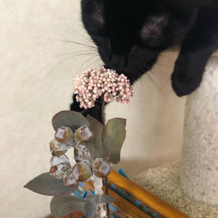 F78f41a2 ef4c 4d56 8390 916cb9d0cfbd 1556513069669