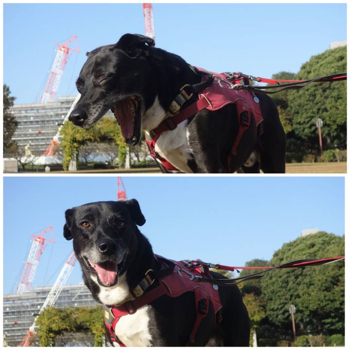 F78f697c de73 4ca4 bd83 11367ab612c9 1698888345357