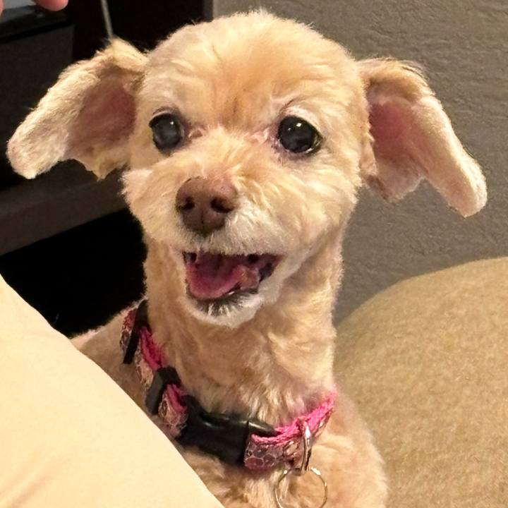 F78f6eb5 8c50 40d2 9a25 d085f26602ca 1723088382201