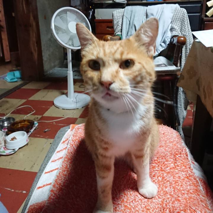 F78f8225 03d5 4d14 a4b9 ad032cf03049 1596573379527