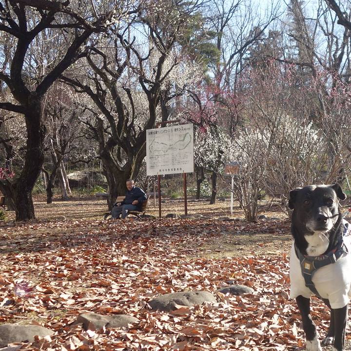 F78f96d0 bef4 4ff7 869b a9bad2882748 1707786442529