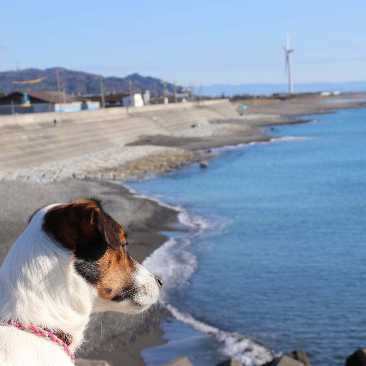 F78fbc35 d852 43f7 821a 76d2bb0358b7 1515033015794