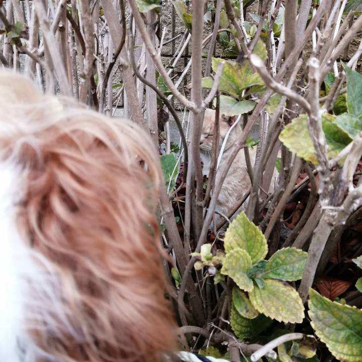 F78fce42 7ca5 4c4b a378 b0991da18322 1576064655103