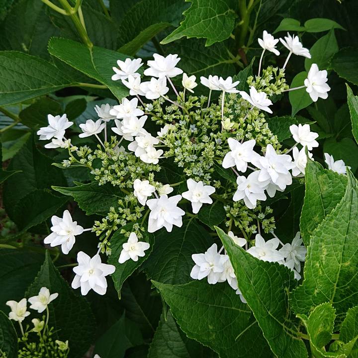 F78ff708 8362 4608 b5c9 aa110792c97c 1654559494816