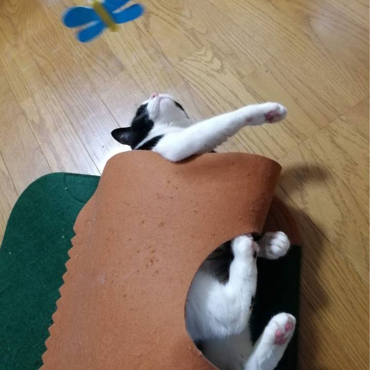 F7906202 a455 4120 9417 9b5d44a85a84 1578543090799