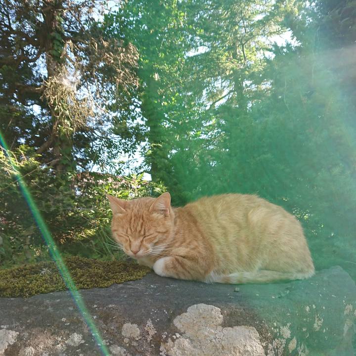 F7906f9c a236 4a6f a07d 7a4f272f6567 1592640857544