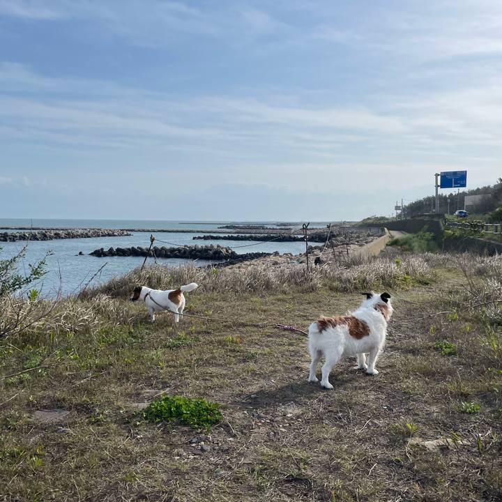 F7907433 b7de 4e54 a361 f7652b8acc32 1746400290749