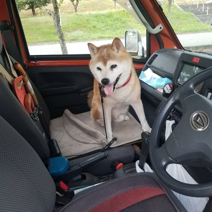 F790f7e1 e0c0 4b48 9afa daa00c6c1282 1724747819972