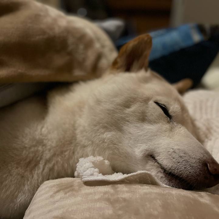 F790fff8 3388 4f81 9410 7e2194533c0b 1646841531877