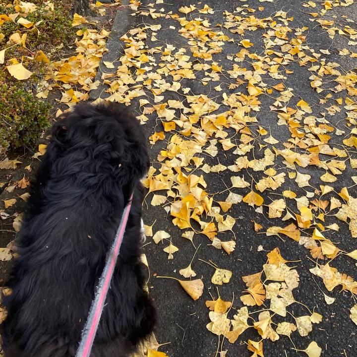 F79121c5 0d13 498b 8f22 0f9ba06264d2 1669248548784