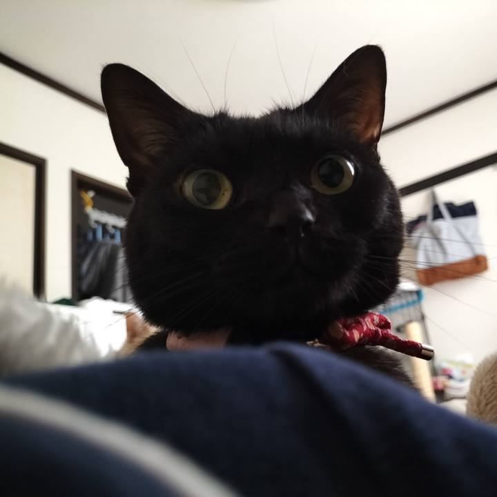 F7915b92 ab1a 4c21 a96c ffb422ca8910 1651184014162