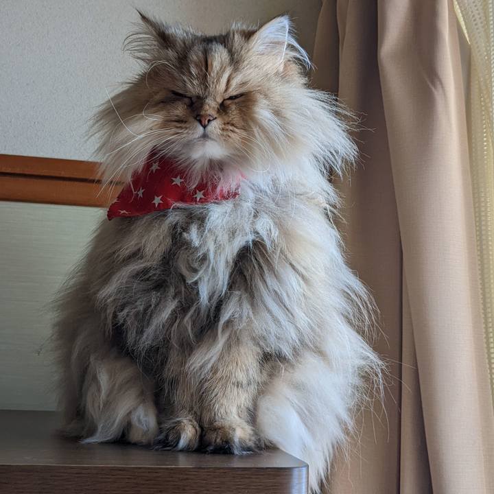 F7916980 28cd 4fce b5b6 28aae91ca139 1645411246829