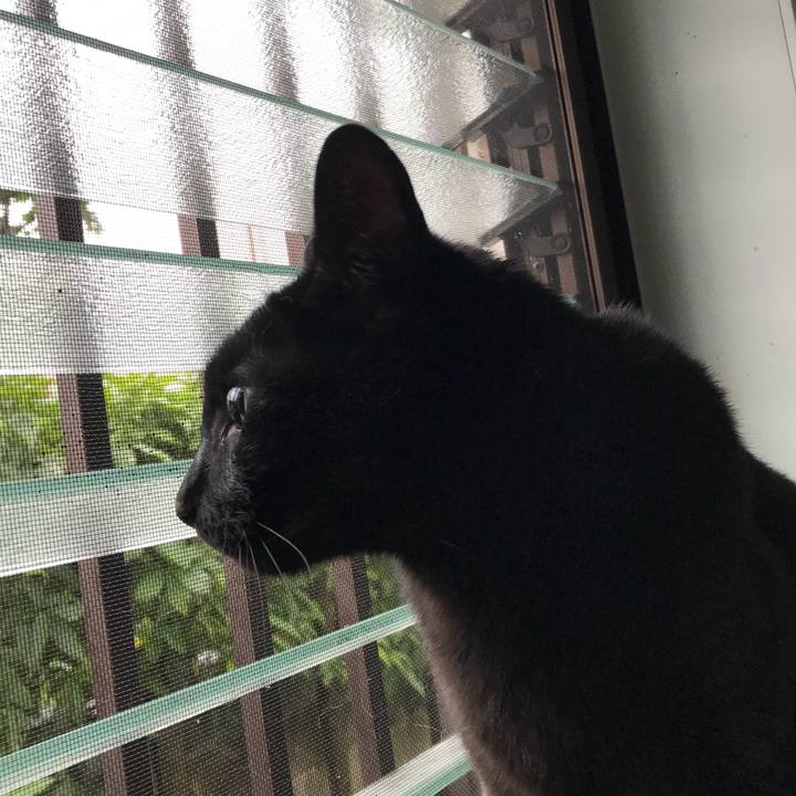 F791a911 58e9 4b67 a1e3 9edf8be583aa 1529458073266