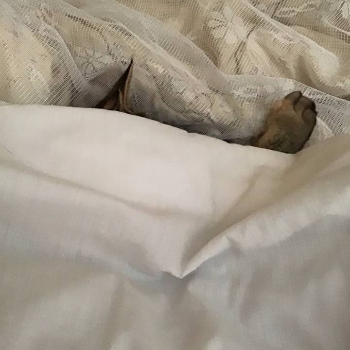 F791aba9 9789 4a14 b989 0053876b89ca 1586651148494