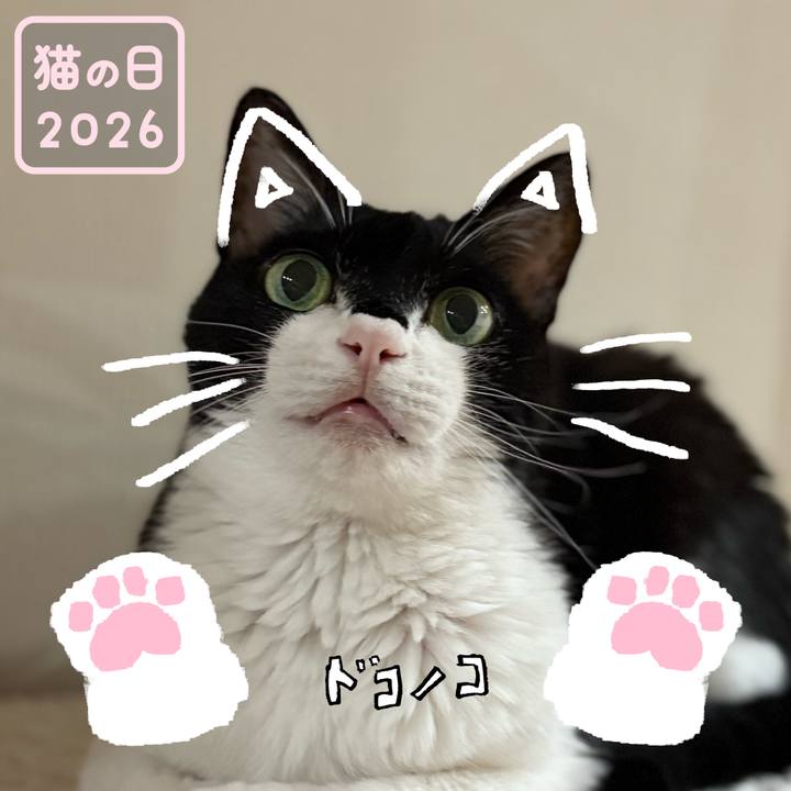 F791ef13 2aa7 4ba3 9bfe 8e3fe608887d 1771759697160