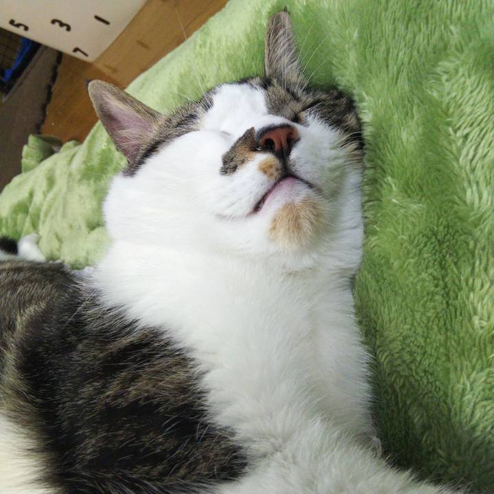 F791fbc9 36d6 4492 9cb2 27f49ecece2b 1636977357458