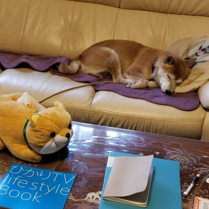 F792c816 8506 4d5b a437 857b80519829 1564639248619