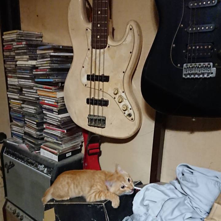 F7930fd4 a34f 4f99 9fae 47c40ad8a411 1633089363158