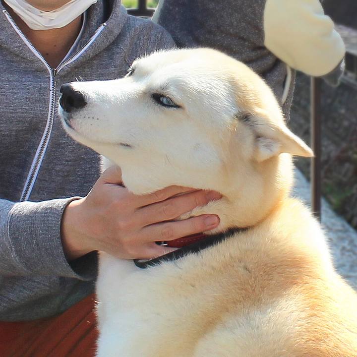 F79327fc 187e 435c 9353 257c4bbf29a0 1522889654334