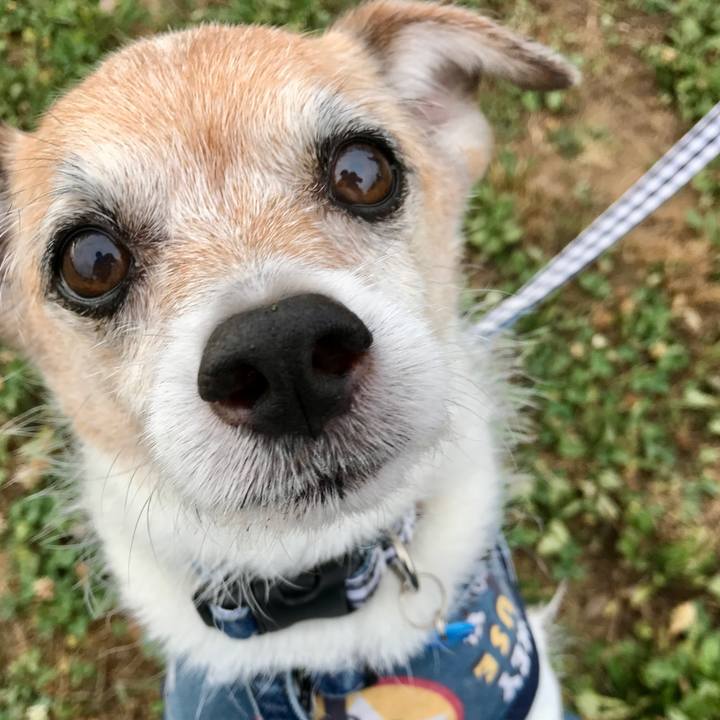 F7932812 0b96 44e4 8599 cad143b1f9de 1657576806413