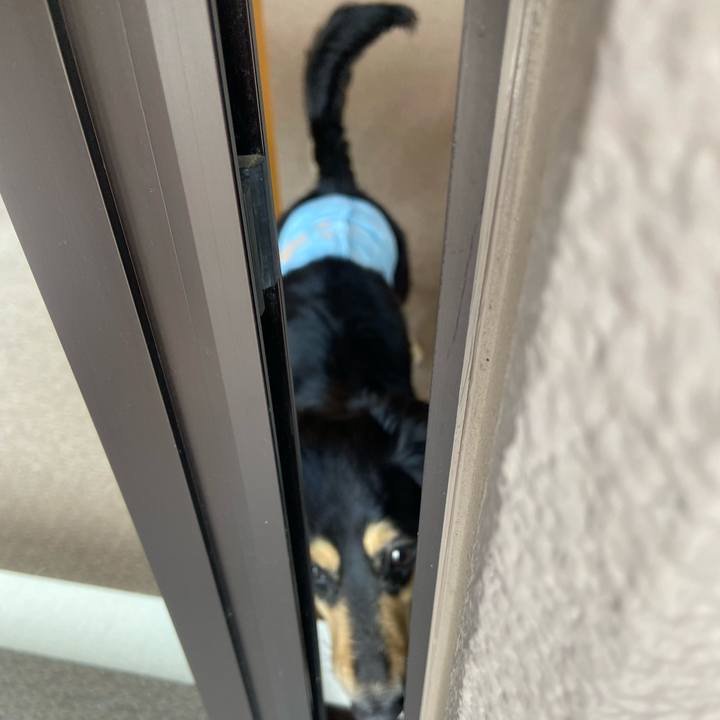 F79342db d716 4bb5 8054 52b03f302976 1715646229776