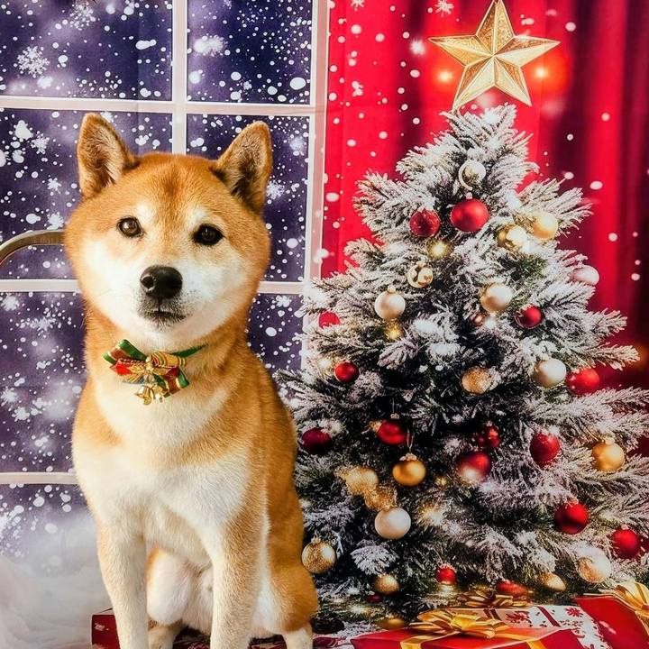 F793a272 5b84 4085 9a53 637c41ec8b9f 1764992389933