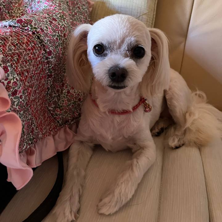 F793b608 694d 49dc 8171 862bbf2bdebf 1693549280767