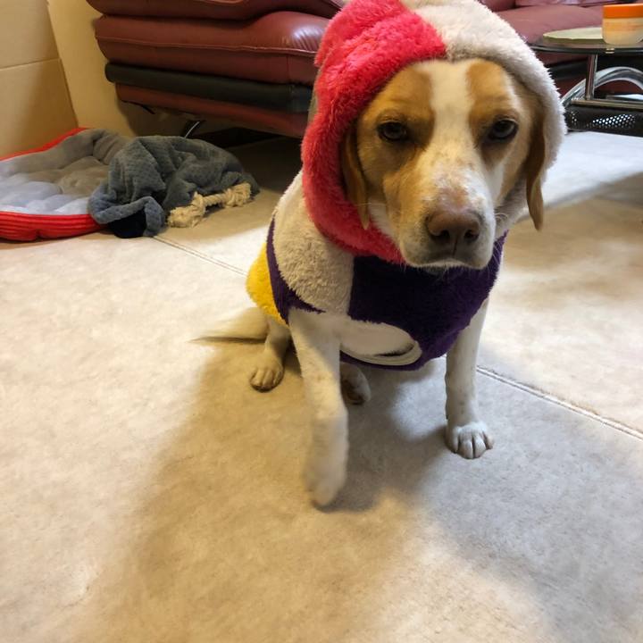 F793b728 e052 47cd a2bb 4baf584a475a 1618187420139