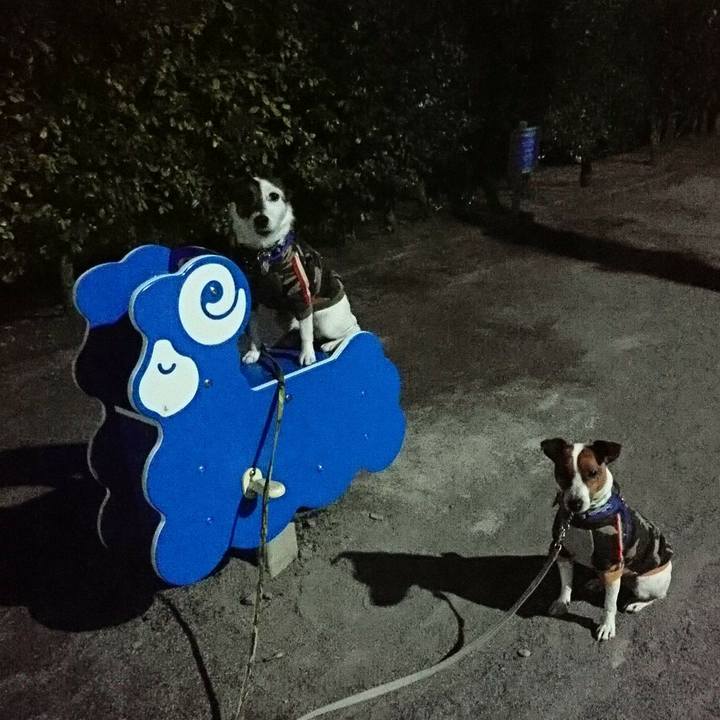 F793b7d8 0ed7 481d bb21 ba33e5431f55 1581597089293