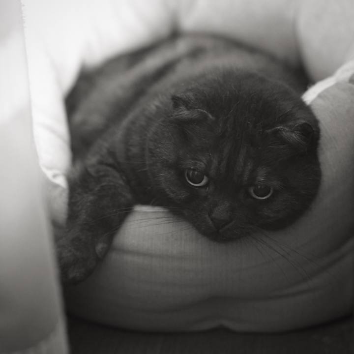 F793bbc4 2d66 4fd4 aa9e 4f9a37cee9a3 1619710553582