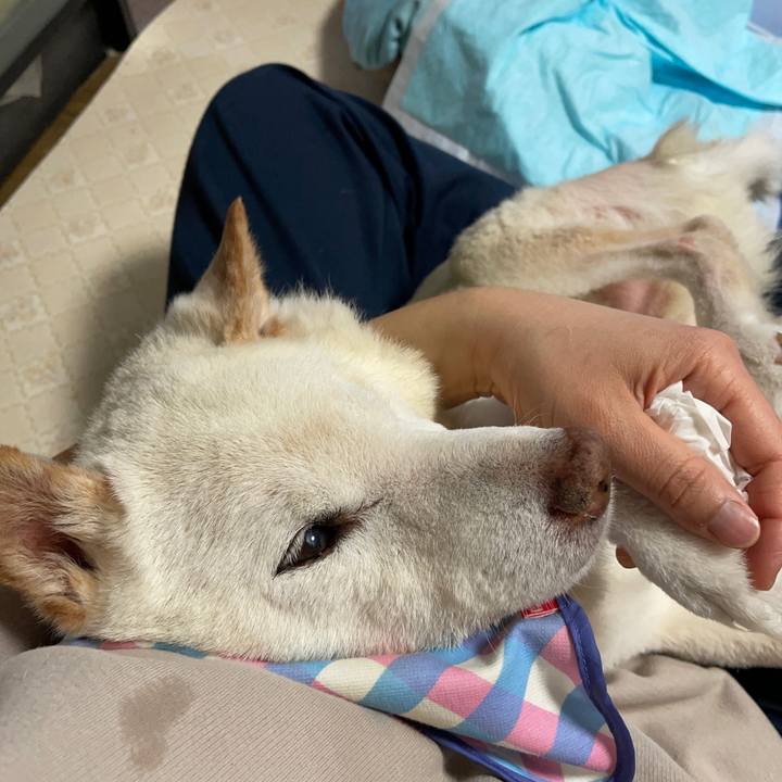 F793eac8 d24b 4335 92ca 5dcf6e9c9193 1674706333485