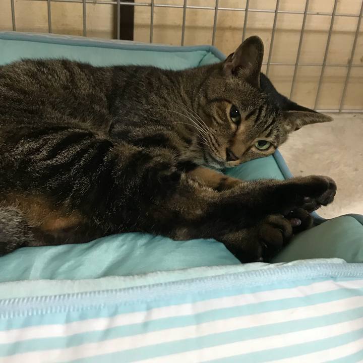 F793f411 2f71 46a6 bc5f 8875dc7d6f18 1532562427179