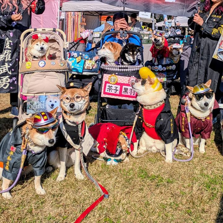 F793f86b c72e 40c8 92a6 ea7c326ab28f 1763282273569