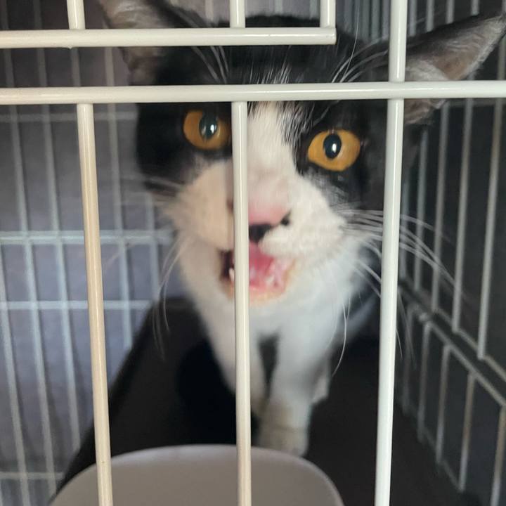 F79402ea b7a6 4b74 bf91 e22784a02f5c 1676356230322