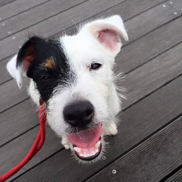 F7943161 a29f 4498 9a54 d0c26b2f4d23 1622818974960