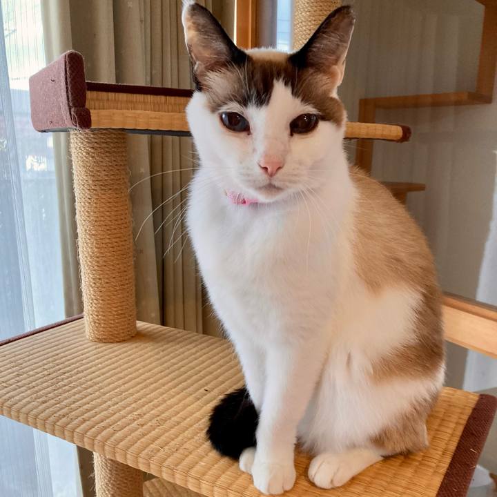 F7943897 767e 4ba1 bb4b c671c7b29599 1638615368700