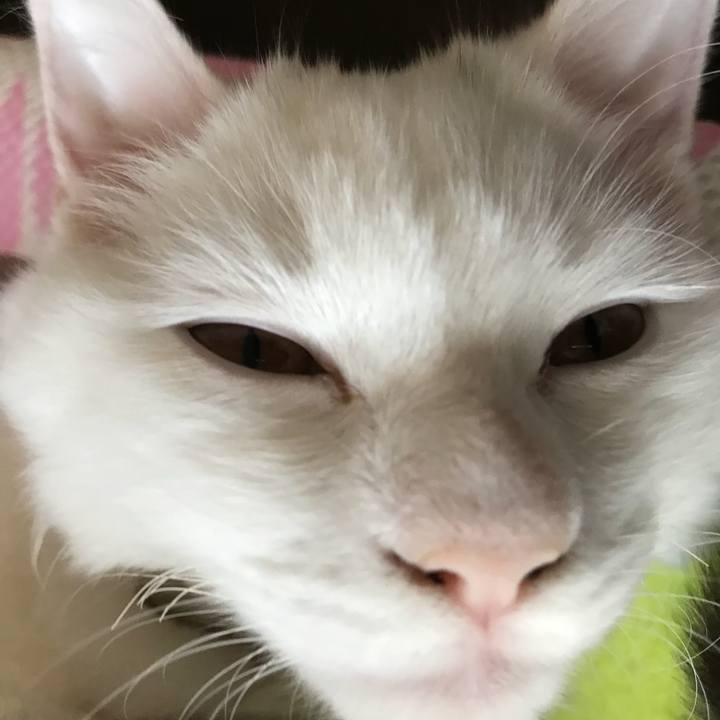 F794502f f09d 4001 bc08 27469718d2fd 1510389594555