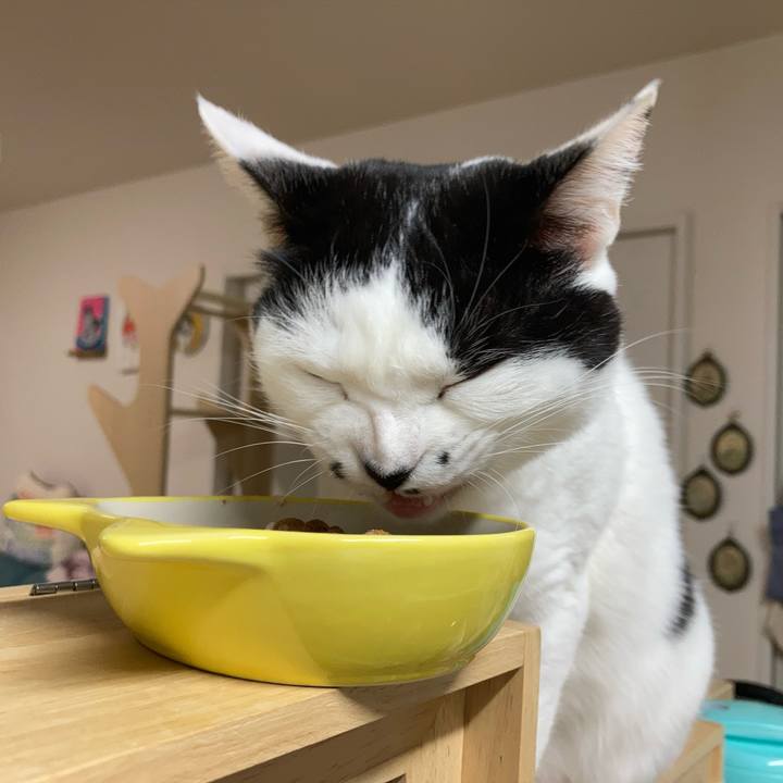 F79459a8 f2f8 4099 90ce 7fdfc2ba903f 1766866885820