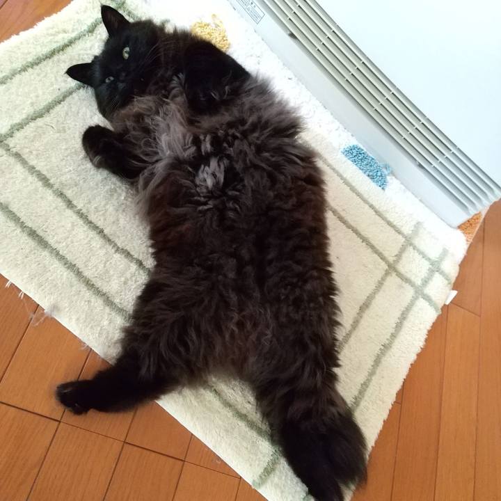 F794c74a a7cc 4bfe b2d2 caecd6fb70b5 1617147052795