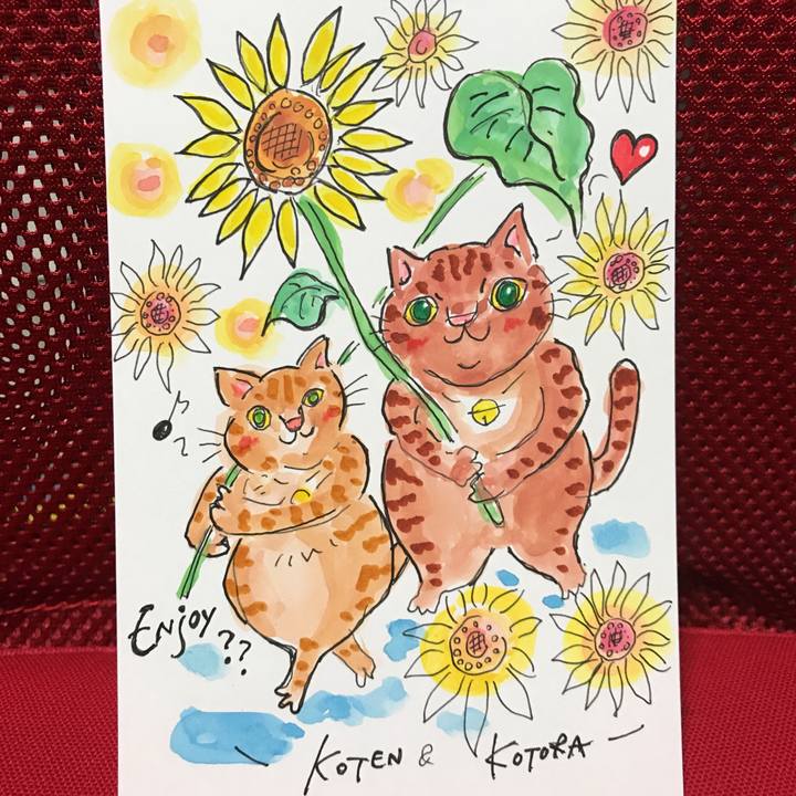 F794cc6f 1f41 41a0 976c 907501a3450f 1564939284975