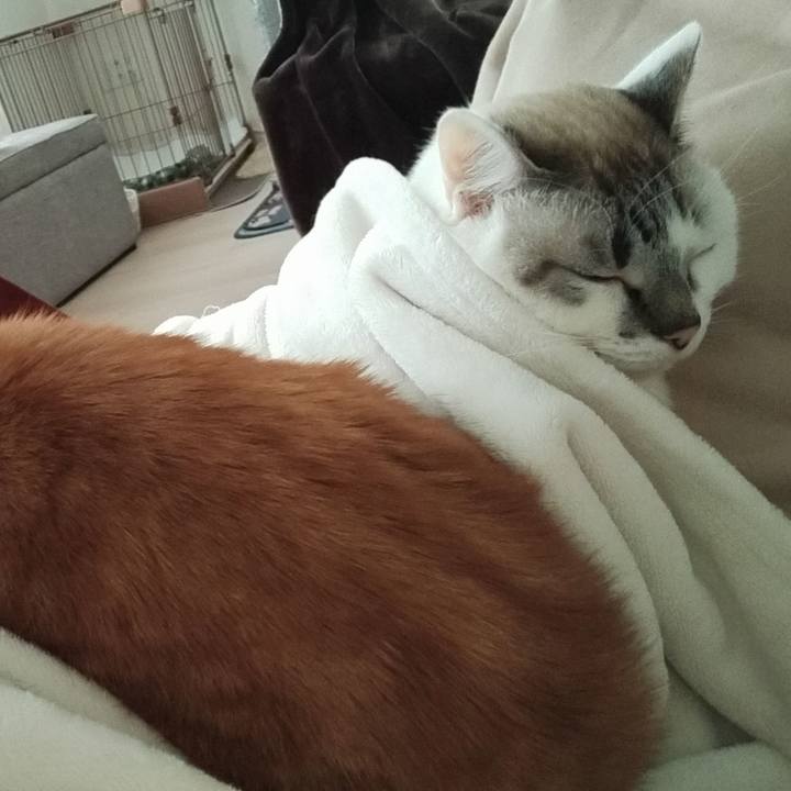 F794d304 e958 4193 b828 e43294a1fd3b 1608354535154