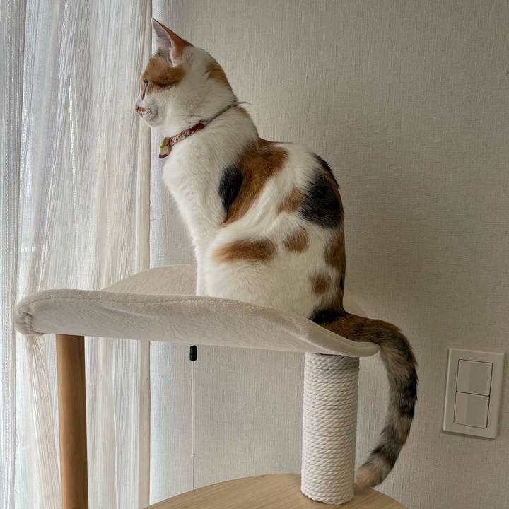 F794e9b6 e9bc 46d1 92c0 0e3b3a41a469 1636342311564