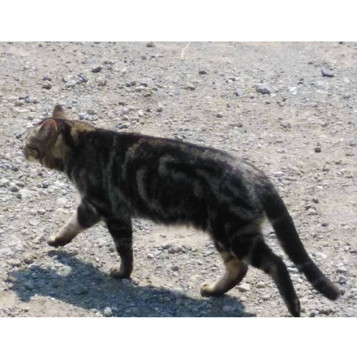 F7951e09 1e7c 46b7 9202 a0e4b4427546 1618201243851