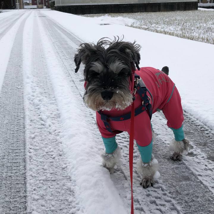 F79538ae 4a08 4eec 8190 e8c907bb0f6c 1609383961625