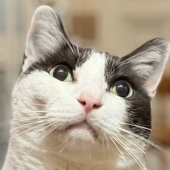 F7953f65 6d70 48ce 819e 62d8f2d3f32f 1752544942540